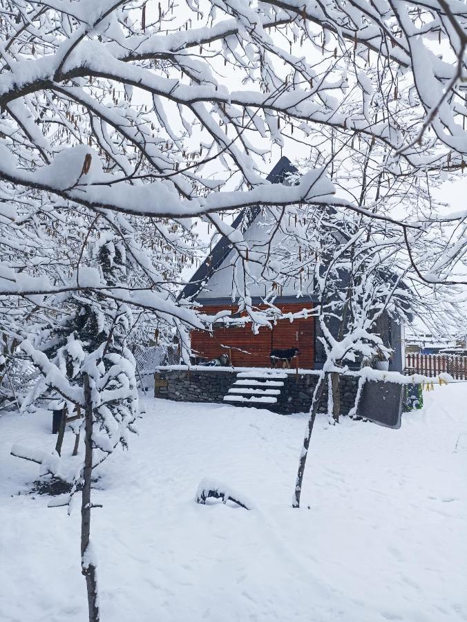 Woodland Paradise กาบาลา ภายนอก รูปภาพ
