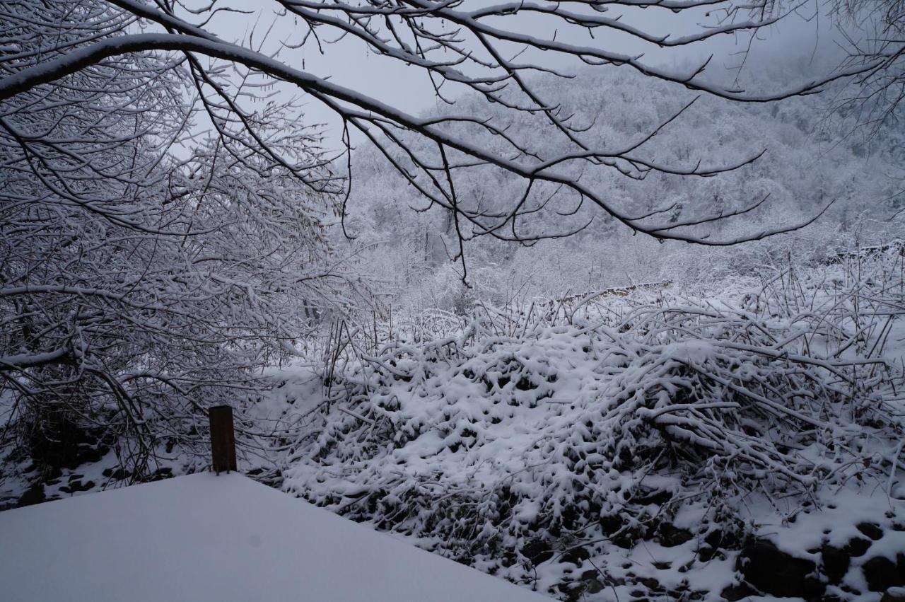 Woodland Paradise กาบาลา ภายนอก รูปภาพ