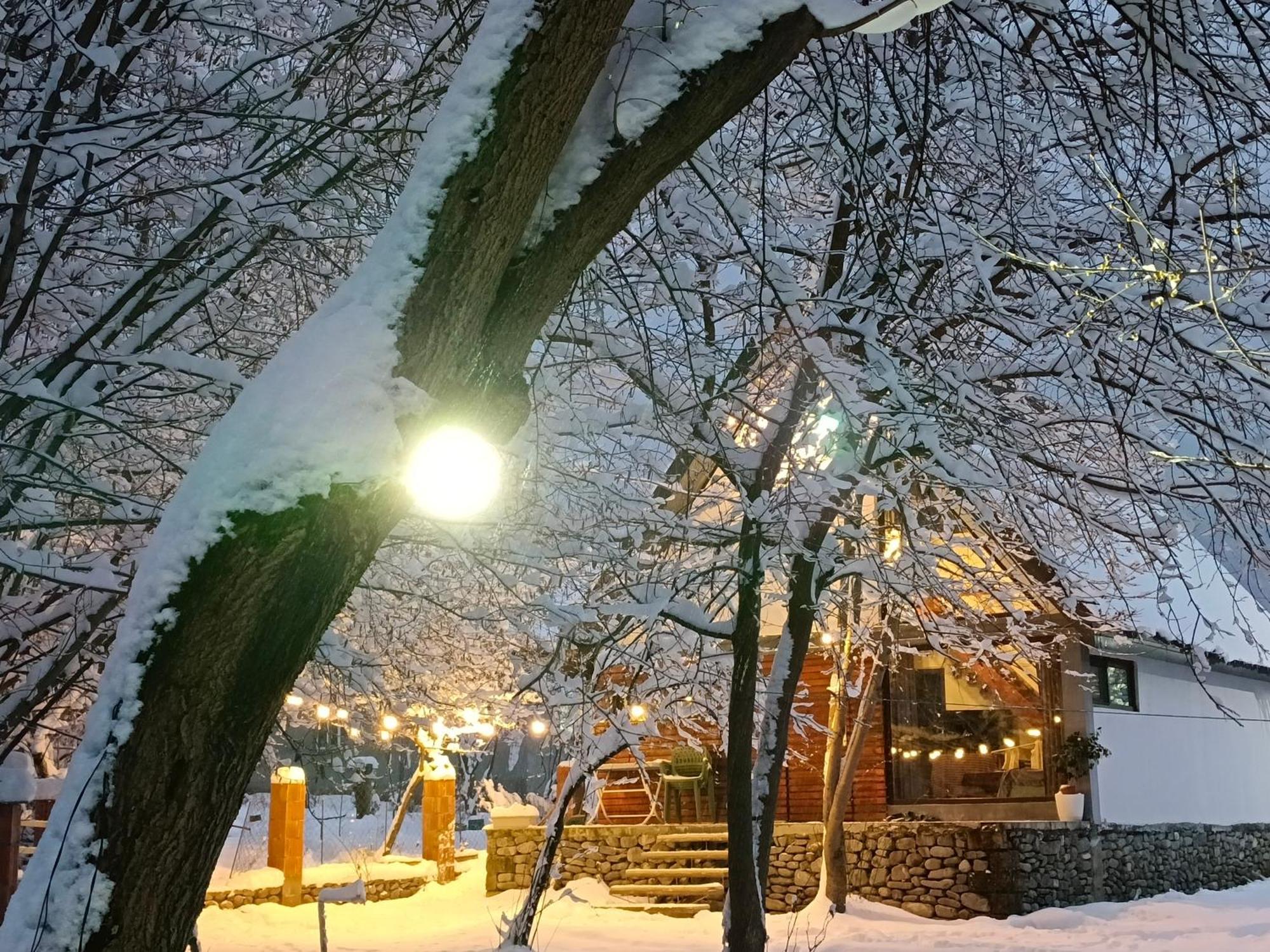 Woodland Paradise กาบาลา ภายนอก รูปภาพ